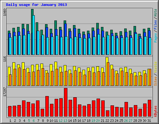 Daily usage for January 2013