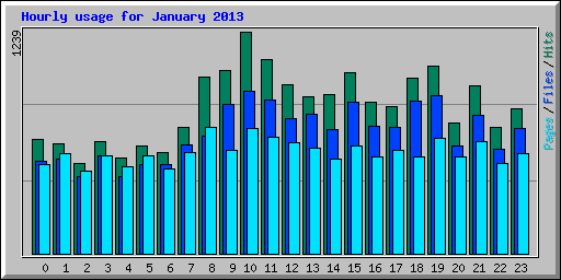 Hourly usage for January 2013