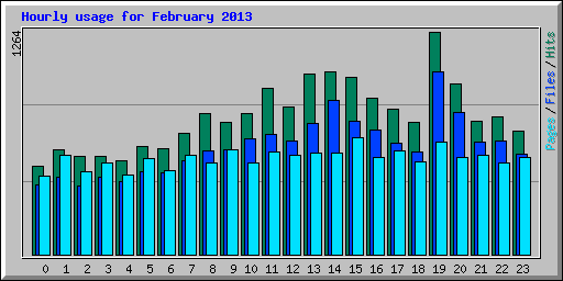 Hourly usage for February 2013